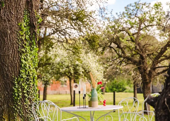 Holiday home Maison Adeli - Spa- Brasero-billard- Netflix-wifi *